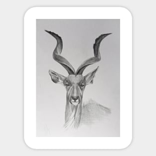 Kudu Sticker